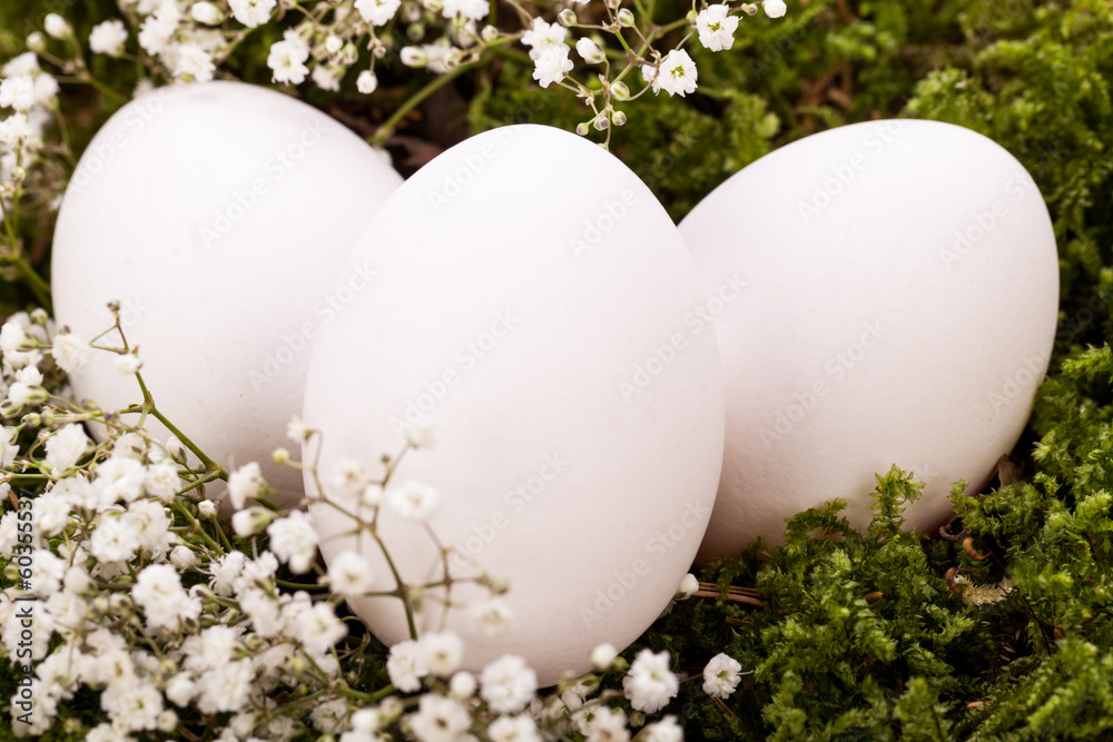 weisse eier mit blüten im nest aus stroh ostern