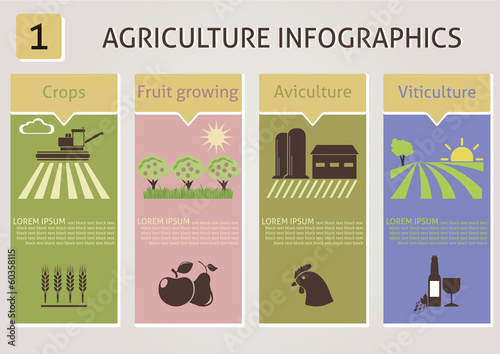 Agriculture infographics