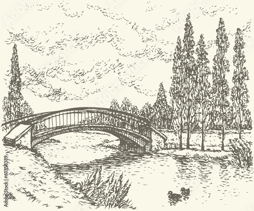 Vector landscape. Sketch of park bridge over lake