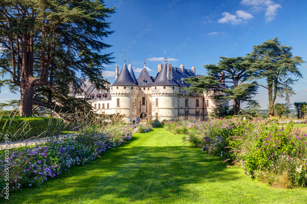 Naklejka premium Chaumont-sur-Loire, old castle in Loire Valley, France. Landscape in summer.