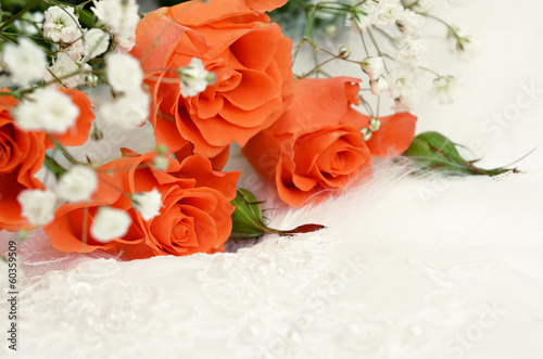 Roses on white background
