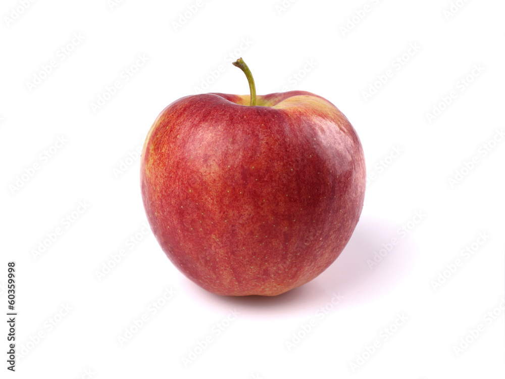 apple apple