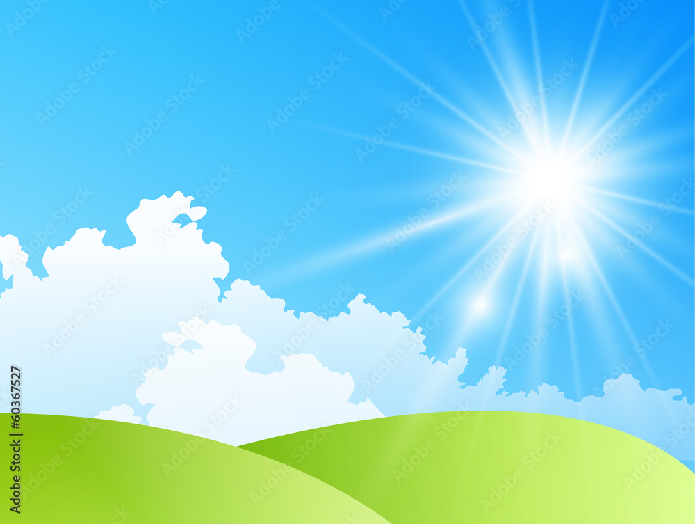 field of daisies with bright sun field of daisies with bright sun