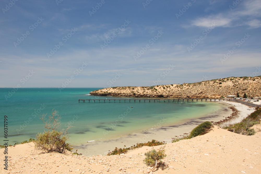 Cactus Beach in South Australia