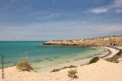Fototapeta Naklejka Na Ścianę i Meble -  Cactus Beach in South Australia