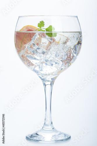 grapefruit and parsley gin tonic isolated over white