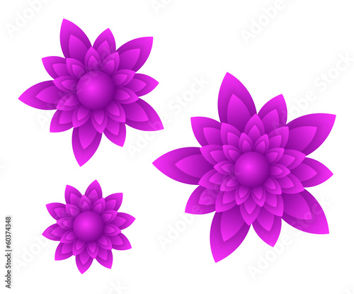 vector purple flowers © th3fisa