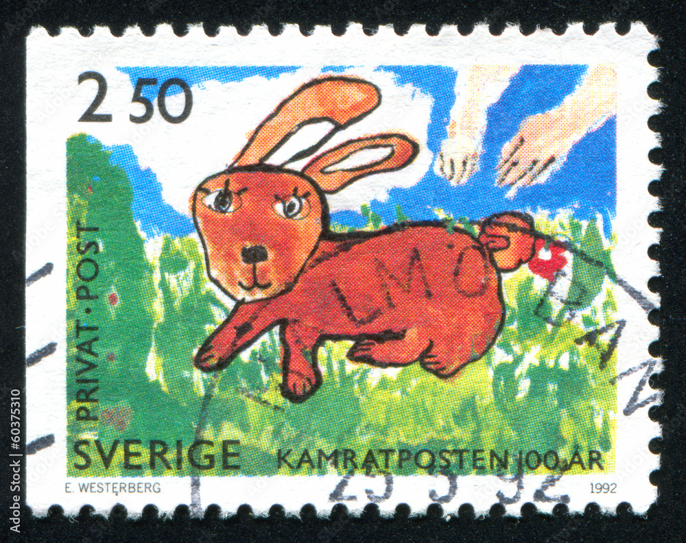 Fototapeta premium Rabbit