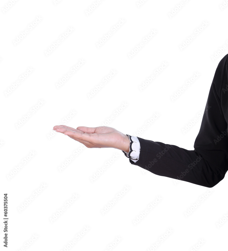 open palm hand gesture of business female hand open palm hand gesture of business female hand