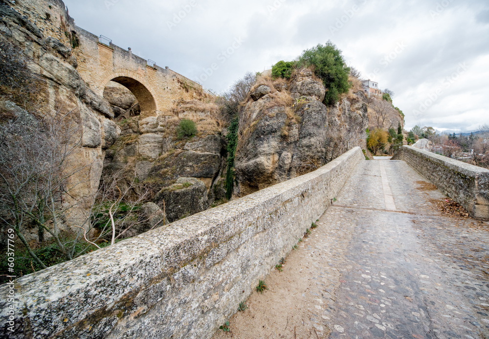 View of Ronda Bridge and canyon.Spain