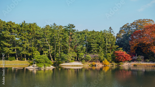 Koraku-en garden in Okayama