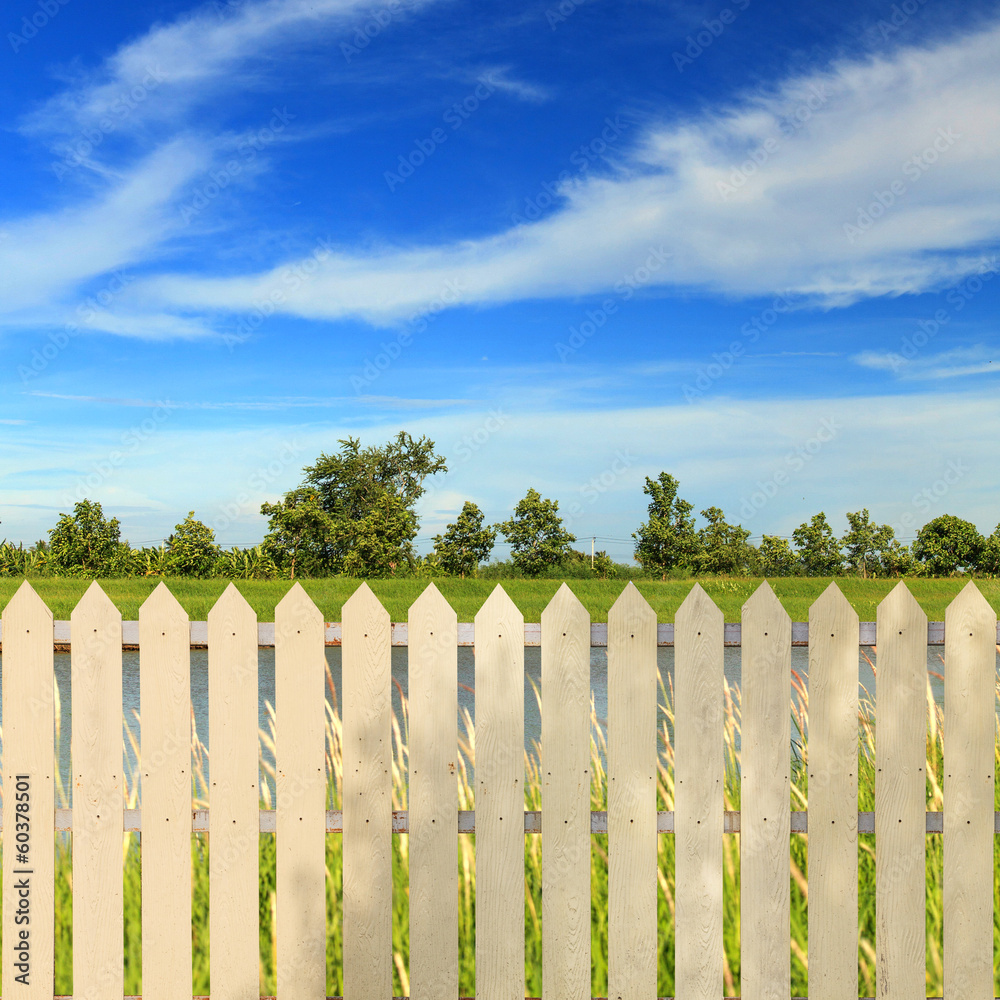 Obraz premium White fences