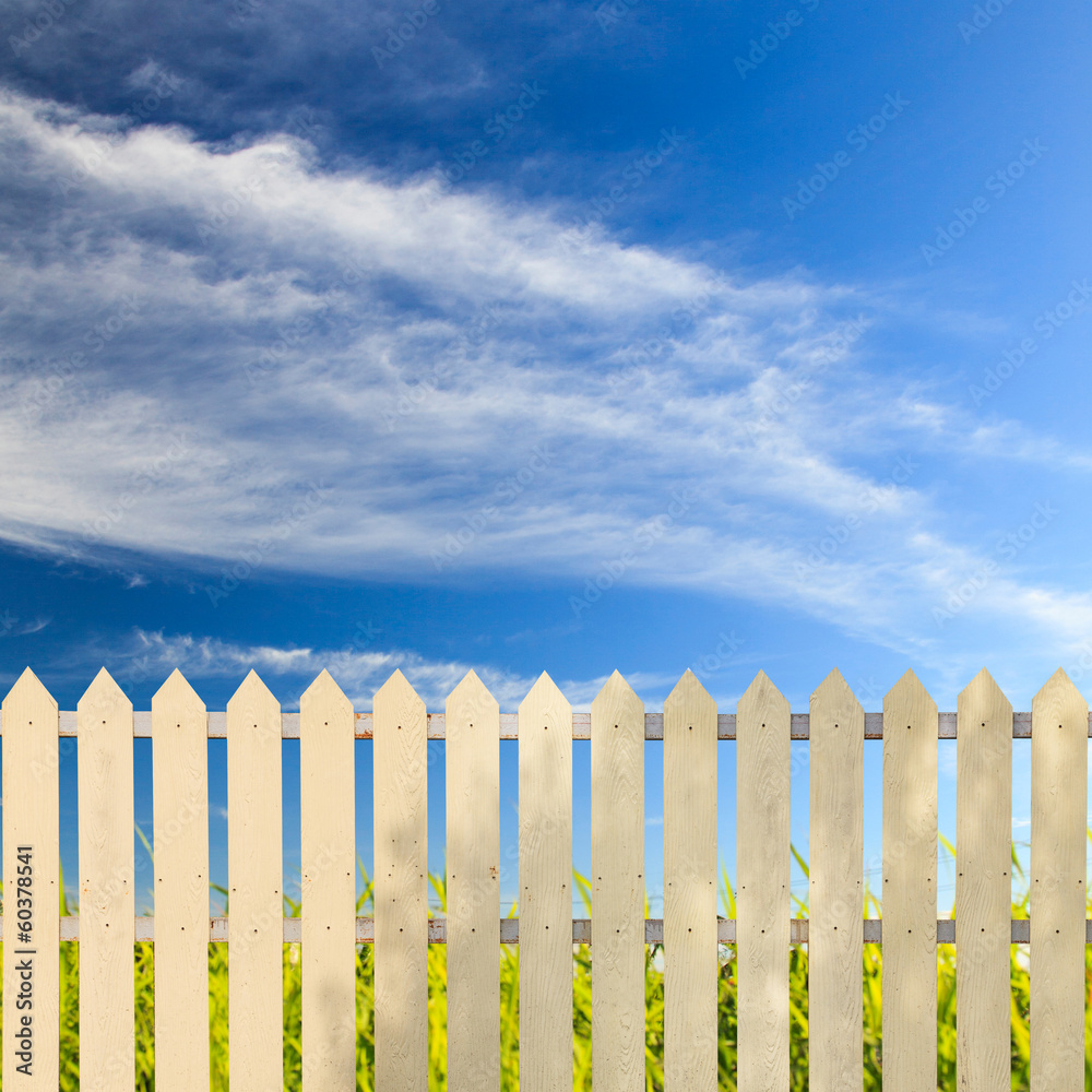 Obraz premium White fences