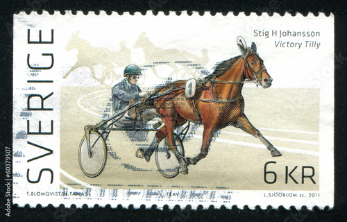 Trotting