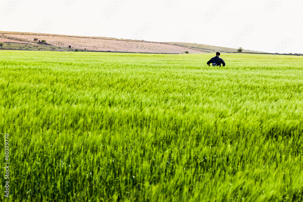 Lone in the grass Lone in the grass