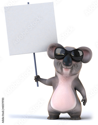 Photography Koala