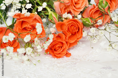 Orange roses on white