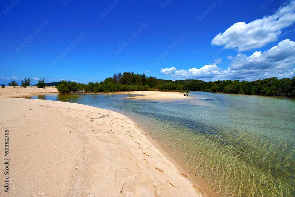 pond coastline river  in the   relax and bush   madagascar