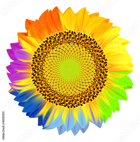 Sunflower with rainbow petals.