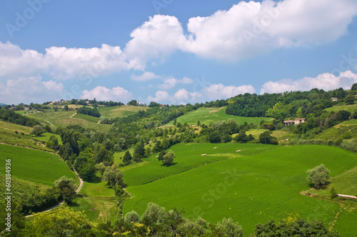 Panoramic view of Torrechiara. Emilia-Romagna. Italy.