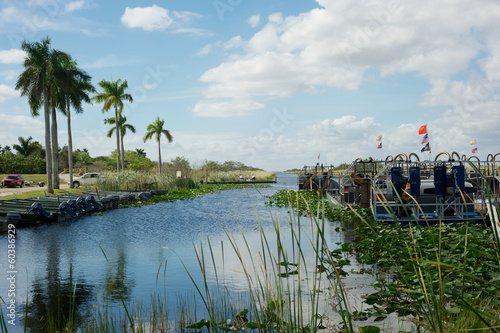 everglades - Florida photo