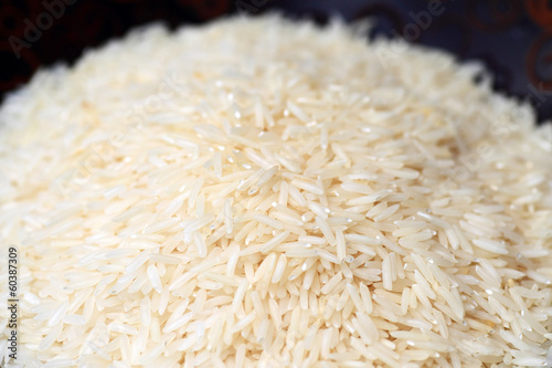 Oryza sativa thailand rice 