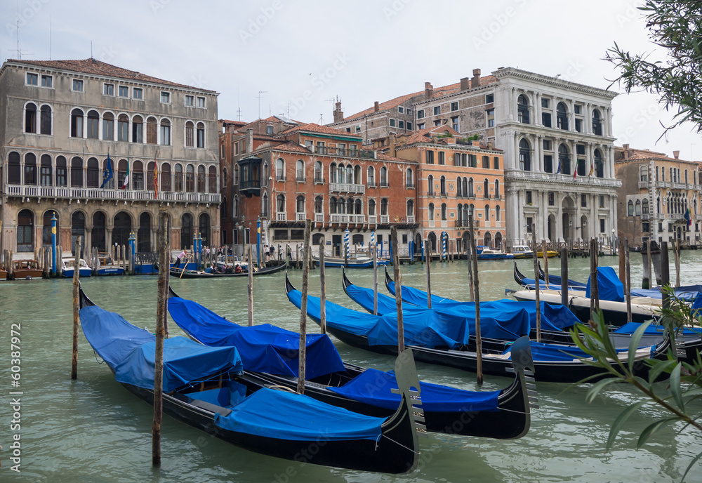 Gondola's on the Grand Canal in Venice