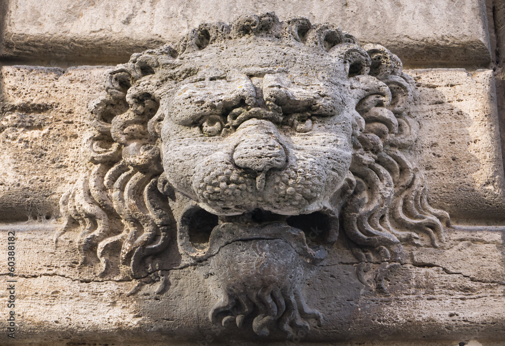 Sculpture of a lion's head