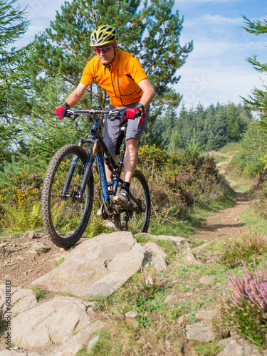 Mountain biker riding trails in Wales