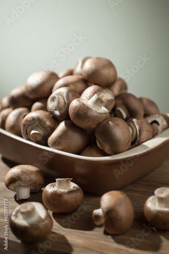 Mushrooms still life