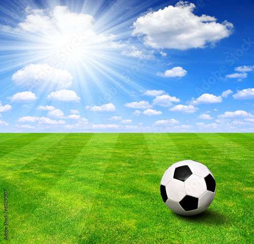 soccer ball on grass © vencav