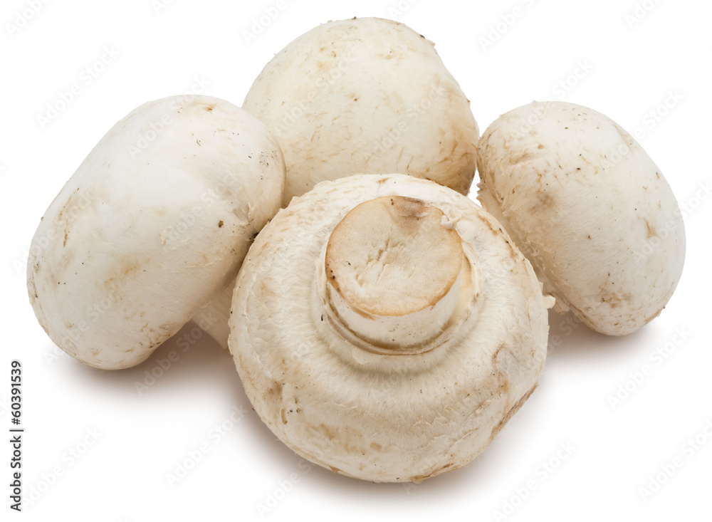 Champignon mushrooms