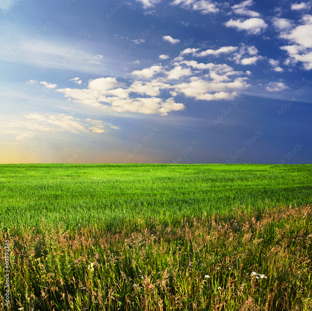 sky and fields