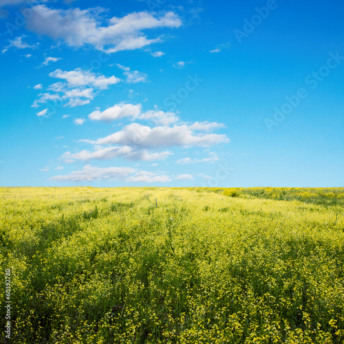 sky and fields