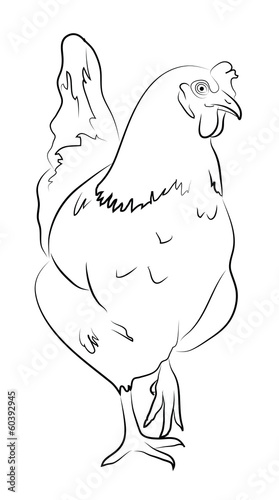 Hen Simplified Contour Silhouette