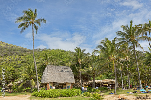 USA-Hawaii-Oahu-8351