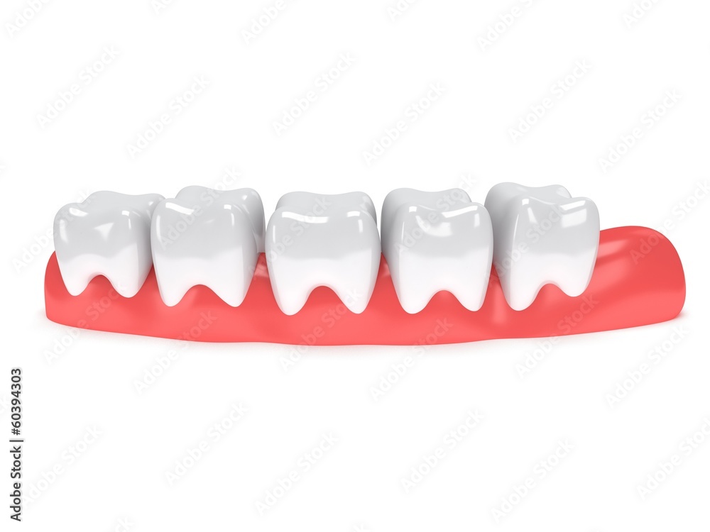 Obraz premium Teeth on gingiva isolated on white back.