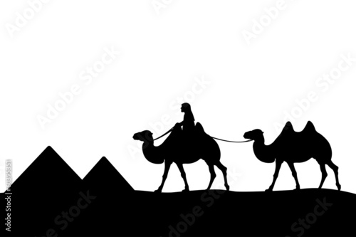 Man on the camel of the pyramids.