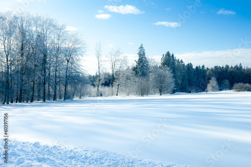 winter scenery at Dobel Germany © magann