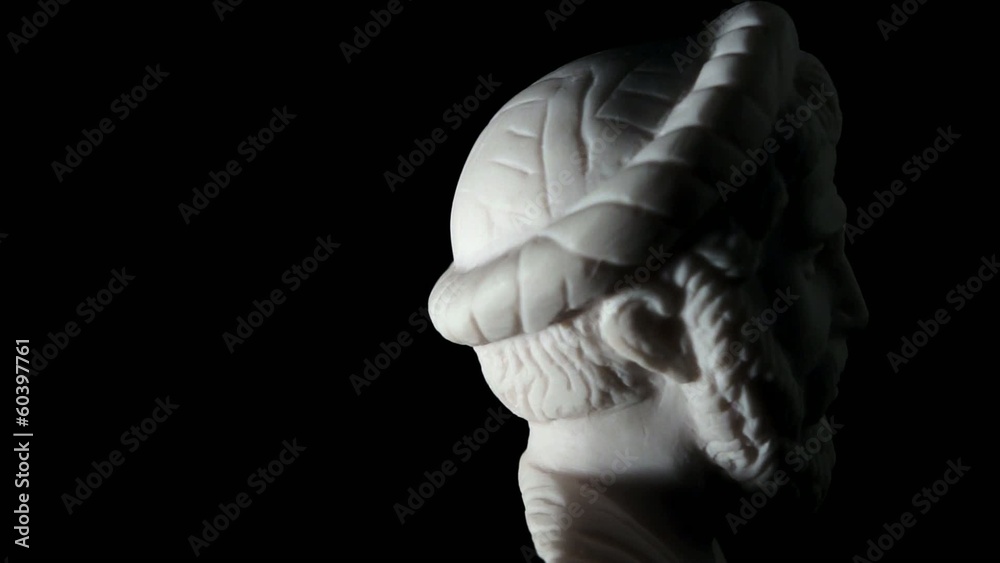 White marble bust Pythagoras of Samos White marble bust Pythagoras of Samos