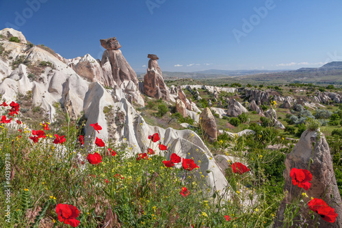 Spring in Cappadocia, Turkey.