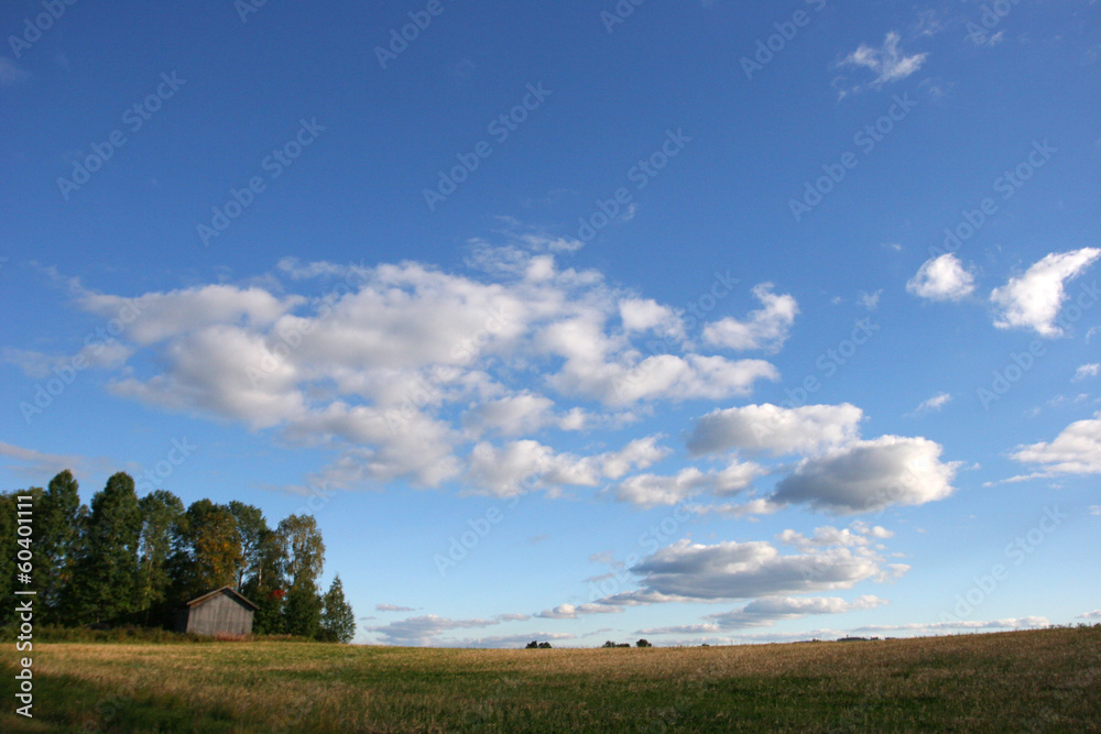 swedish landscape