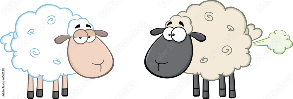 Obraz premium White Sheep And Farting Black Head Sheep