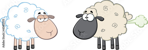 White Sheep And Farting Black Head Sheep