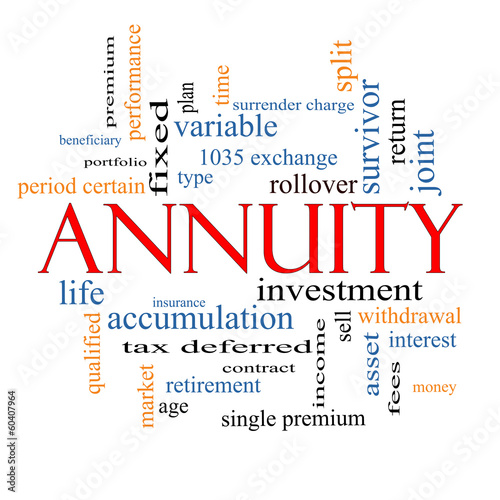 Annuity Word Cloud Concept photo