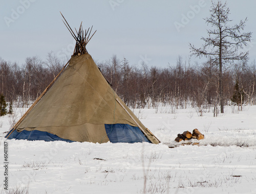 Fotografie khant's wigwam standing at yamal forest tundra