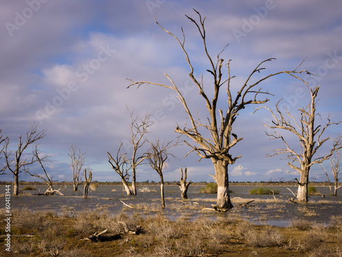 Obraz na plátně Lake Woolpolool, Calperum, South Australia