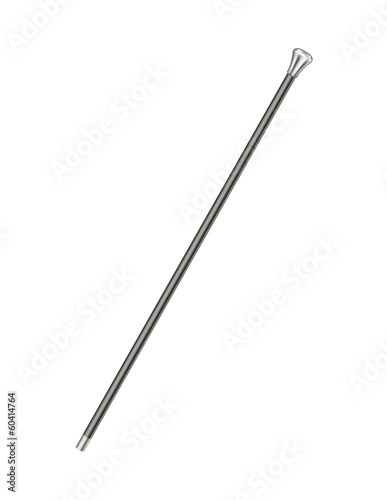 Elegant walking stick