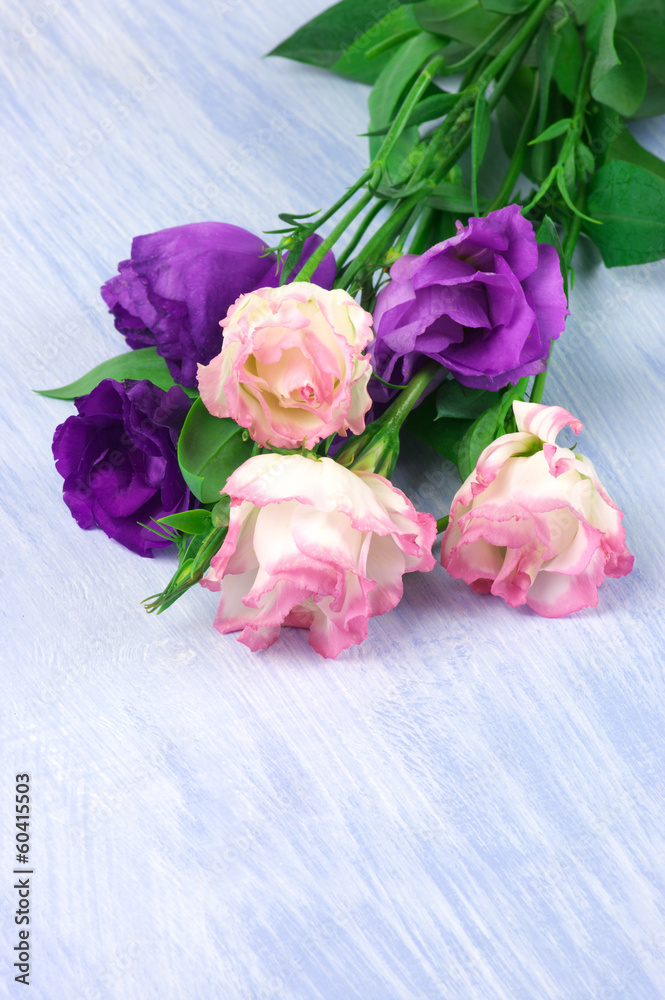 Fototapeta premium Eustoma flowers