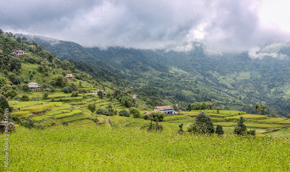 Obraz premium Landscape view of rice terraces in Kathmandu Valley, Nepal